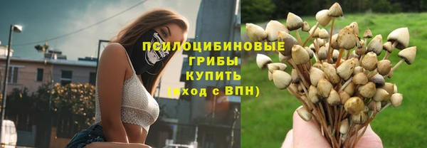 соль ск Аркадак