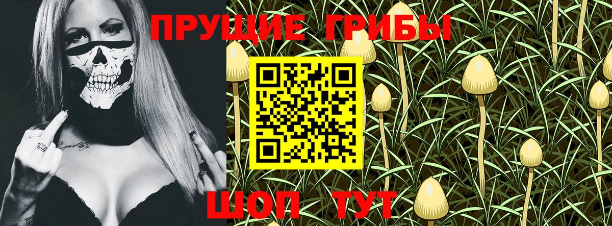 Псилоцибиновые грибы MAGIC MUSHROOMS Можга