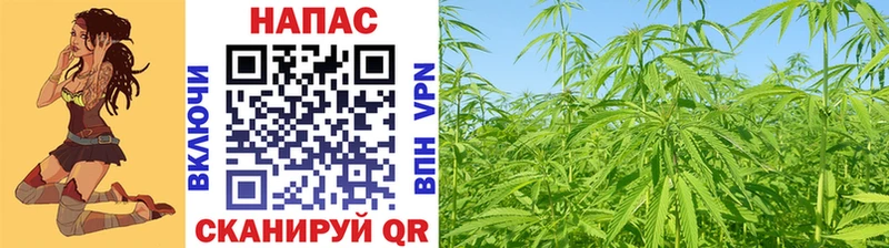 ссылка на мегу зеркало  Можга  Бошки Шишки OG Kush 