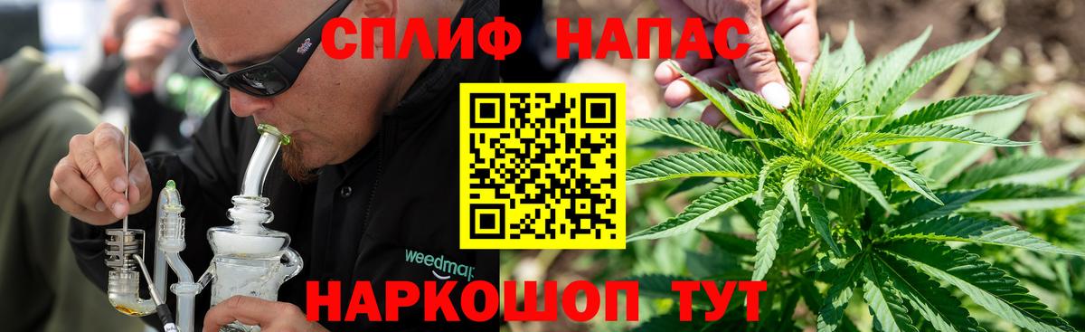 Конопля план  Вход с VPN  Бошки марихуана конопля  Каннабис White Widow  Шишки марихуана тримм  Можга 